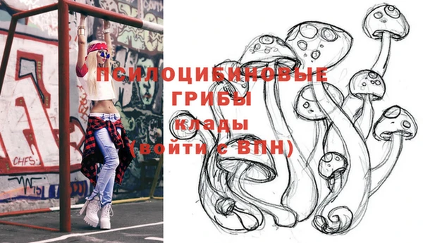 прущая мука Арсеньев